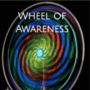 Wheel of Awareness